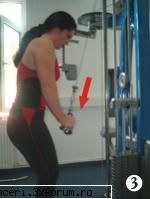 Fitness - membrele superioare - omaebazooka - Fitness, Body Building