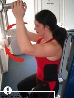 Fitness - muschii pectorali - Fitness - muschii pectorali Autor: Andreea Coste - Fitness, Body Building