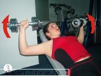 Fitness - muschii pectorali - omaebazooka - Fitness, Body Building