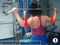 Fitness - muschii spatelui - Fitness - muschii spatelui Autor: Andreea Coste - Fitness, Body Building