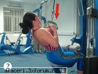 Fitness - muschii spatelui - omaebazooka - Fitness, Body Building