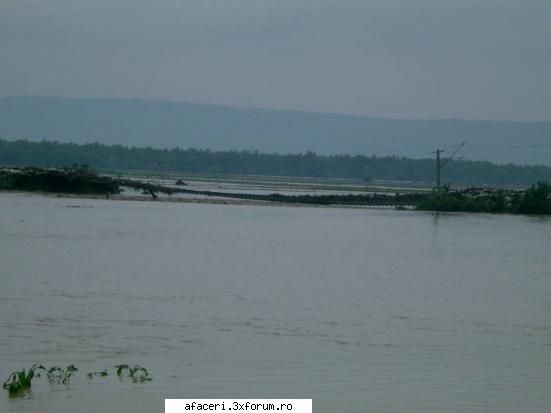 Inundatii, Romania,iulie 2005 - langa adjua, podul peste trotus - My place !