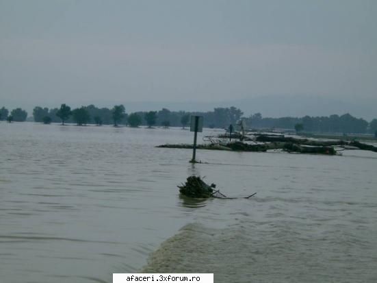 Inundatii, Romania,iulie 2005 - omaebazooka - My place !